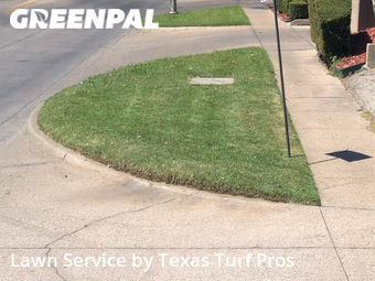 Lawn Cut nearby Arlington, TX, 