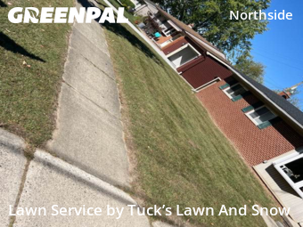 Yard Cutting nearby Ann Arbor, IA, 