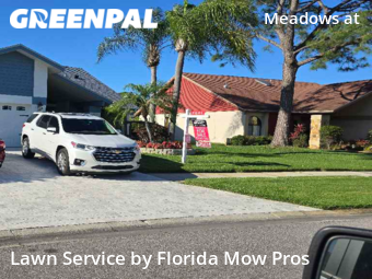 Lawn Cutting nearby Tampa, FL, 