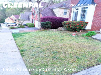 Grass Cut nearby Atlanta, GA, 
