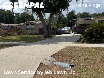 Lawn Cut nearby Thonotosassa, FL, 