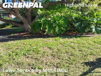 Lawn Mowing Servicein Clearwater,33756,Lawn Cutting by MULTIMIL , work completed in Feb , 2026