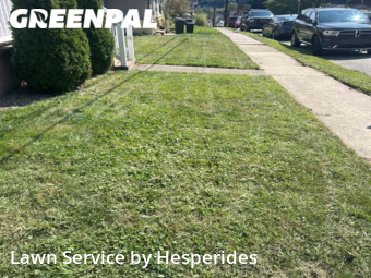 Lawn Care Service nearby Springdale, PA, 