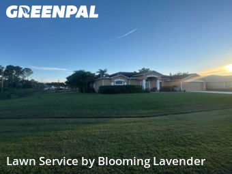 Lawn Service nearby Port St. Lucie, FL, 