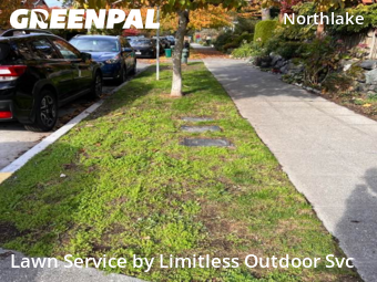 Landscapers In Seattle,98103,Landscaping by Limitless Outdoor Svc, work completed in Nov , 2025