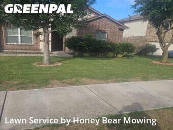Grass Cutting nearby Cibolo, TX, 