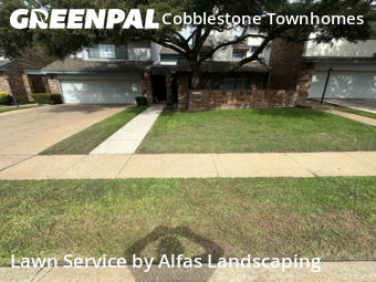 Landscape Design In Plano,75075,Landscaping by Alfas Landscaping, work completed in Oct , 2025