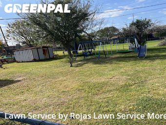 Lawn Care Service nearby Edinburg, TX, 