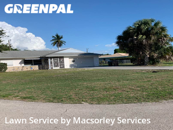 Grass Cut nearby Cape Coral, FL, 
