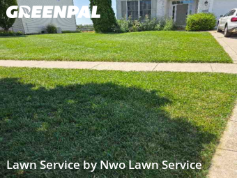 Grass Care in Perrysburg, 43551, Yard Services by Nwo Lawn Service, work completed in Nov , 2025