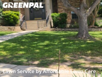 Lawn Mow nearby New Braunfels, TX, 