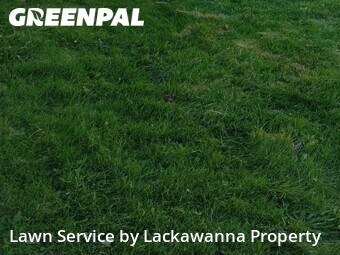 Lawn Care nearby Scranton, FL, 