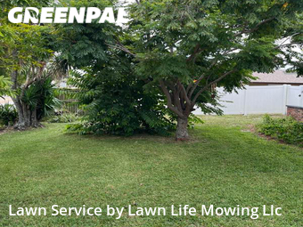Yard Mowing nearby Palm Bay, FL, 