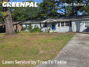 Yard Cutting nearby Charleston, SC, 