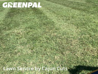 Lawn Maintenance nearby Murfreesboro, TN, 