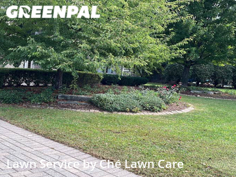 Yard Cutting nearby Orland Park, IL, 