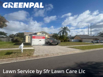 Grass Cutin Palm Harbor,34683,Lawn Mow by Sfr Lawn Care Llc, work completed in Jan , 2026