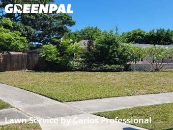 Lawn Service nearby St. Petersburg, FL, 