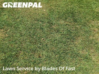 Lawn Maintenance nearby East Point, GA, 