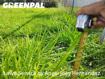 Yard Mowing nearby Melbourne, NC, 