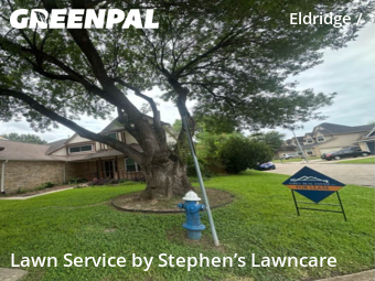 Lawn Cut nearby Houston, TX, 