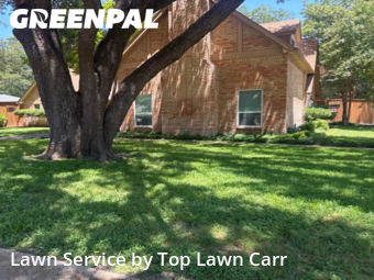 Grass Services in Duncanville, 75137, Lawn Upkeep by Top Lawn Carr, work completed in Oct , 2025