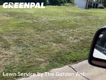 Lawn Maintenancein Ballwin,63011,Lawn Mow by The Garden Ant , work completed in Nov , 2025