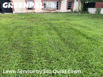 Lawn Service nearby Hollywood, FL, 
