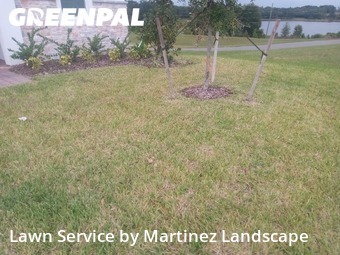 Grass Care in Groveland, 34736, Lawn Care by Martinez Landscape, work completed in Nov , 2025