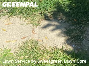 Grass Cut nearby Pittsburgh, PA, 