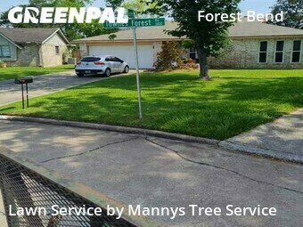 Yard Cutting nearby Friendswood, TX, 