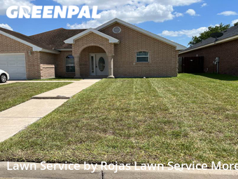 Grass Cut nearby Harlingen, TX, 