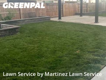 Lawn Mow nearby Elk Grove, CA, 