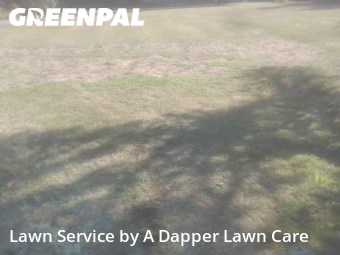 Weekly Mowing in Bellingham, 98226, Yard Maintenance by A Dapper Lawn Care, work completed in Nov , 2025