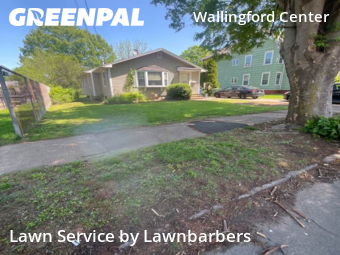 Mowing Services in Wallingford, 6492, Property Maintenance by Lawnbarbers, work completed in Nov , 2025