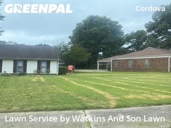 Grass Cutting nearby Memphis, TN, 