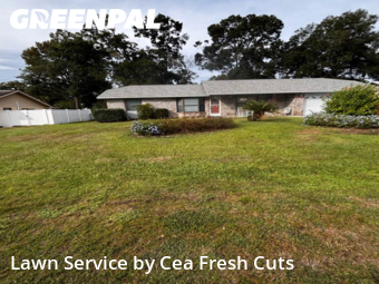 Mowing Services in Ocala, 34479, Turf Services by Cea Fresh Cuts, work completed in Nov , 2025