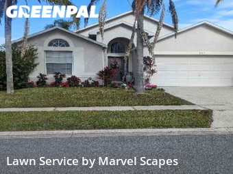 Yard Mowing nearby Kissimmee, FL, 