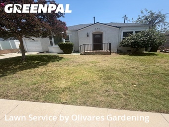 Lawn mowed in Burbank, 91501