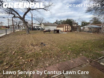 Lawn mowed in San Antonio, 78203