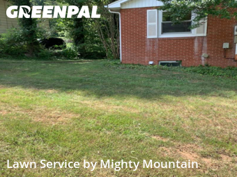 Yard Care Services in Oak Ridge, 37830, Yard Work by Mighty Mountain, work completed in Nov , 2025
