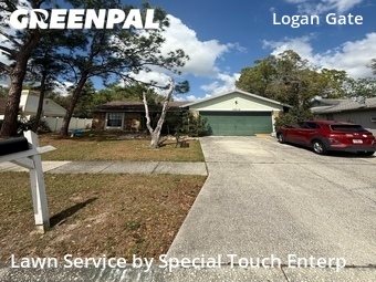 Lawn mowed in Citrus Park, 33625