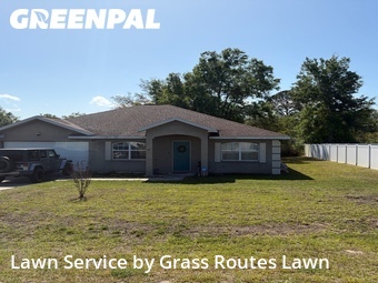 Lawn mowed in Ocala, 34472