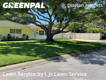 Lawn Mow nearby St. Petersburg, FL, 