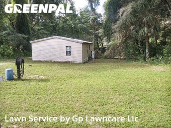 Lawn Mow nearby Belleview, FL, 