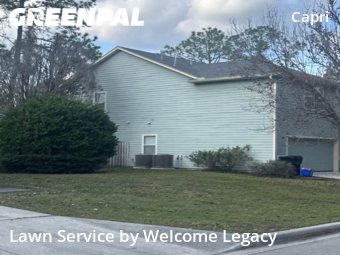 Lawn mowed in Gainesville, 32605