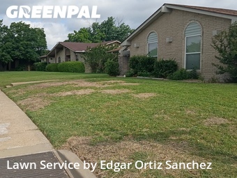 Lawn Care Servicein Garland,75042,Lawn Care by Edgar Ortiz Sanchez, work completed in Jun , 2026