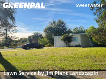 Grass Care in Jacksonville, 32210, Yard Care by Jim Plant Landscapin, work completed in Oct , 2025