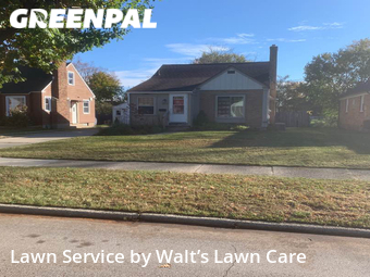 Lawn Maintenance nearby Grand Rapids, MI, 