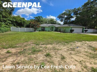 Grass Cut nearby Ocala, FL, 